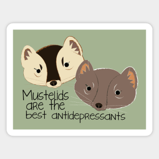 Mustelids are the best antidepressants sable version Magnet